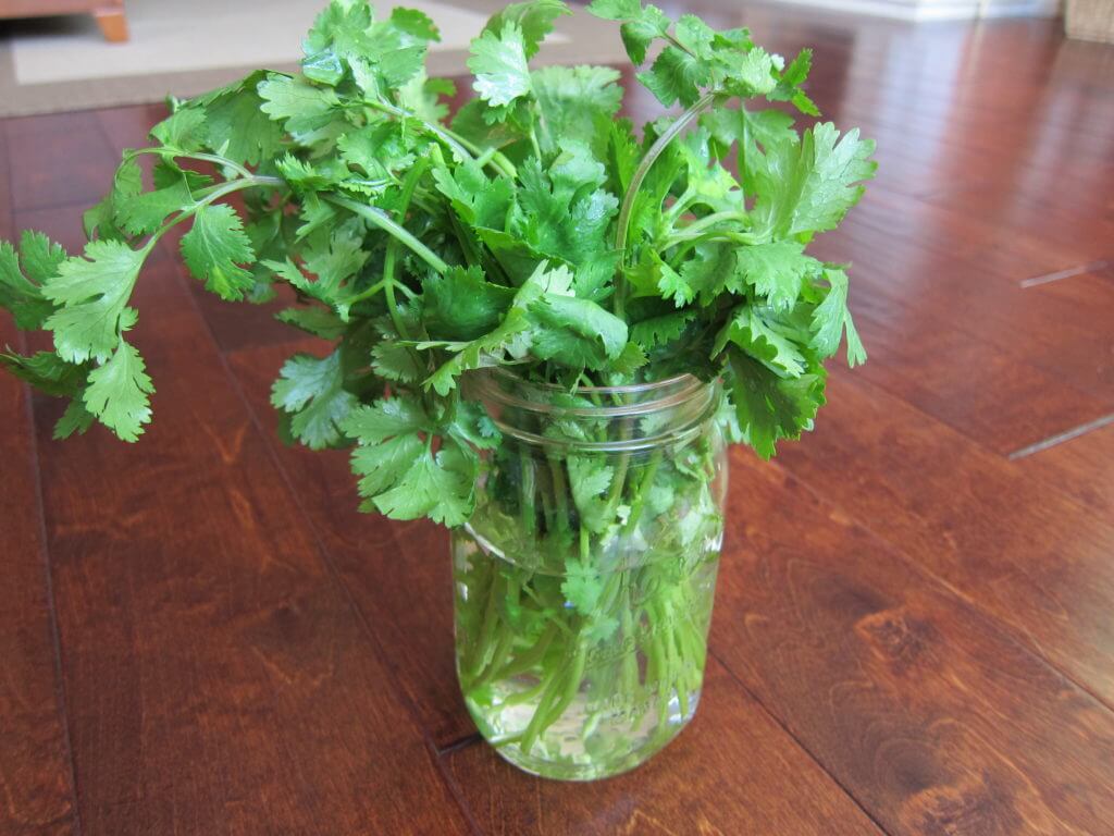 Place Fresh Herbs in Water - Top 10 Kitchen Hacks