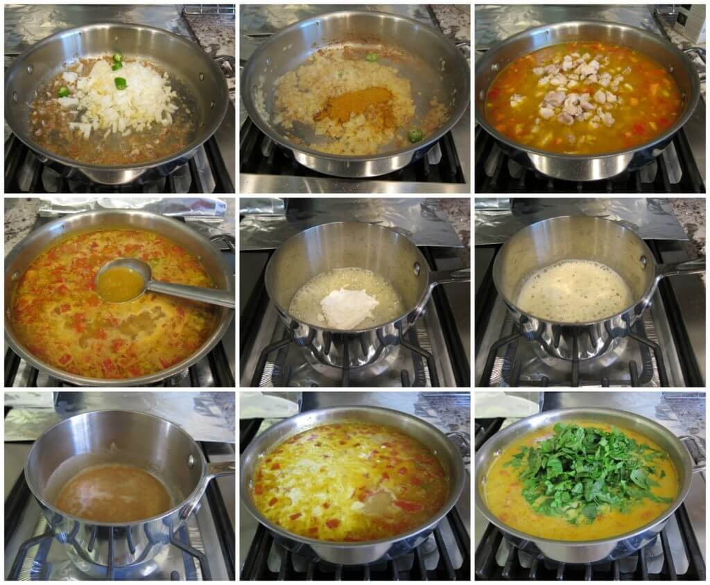 Indian Chicken Curry Soups Stages of Cooking