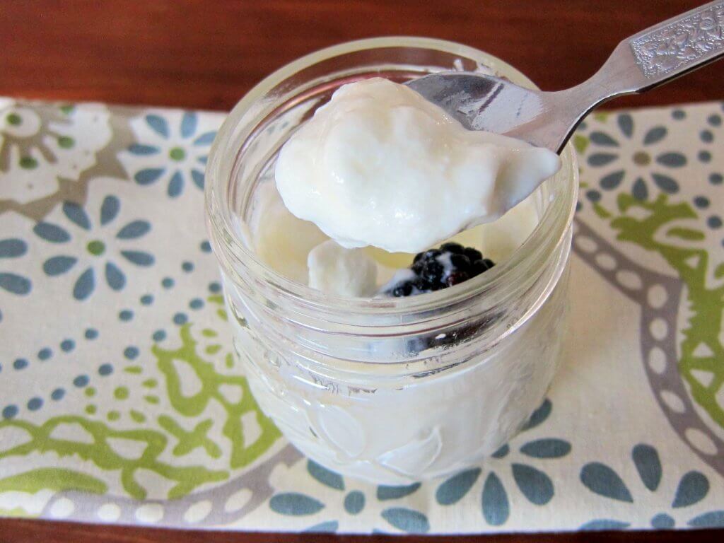 Instant Pot Yogurt in Mason Jar with Spoon - Paint the Kitchen Red