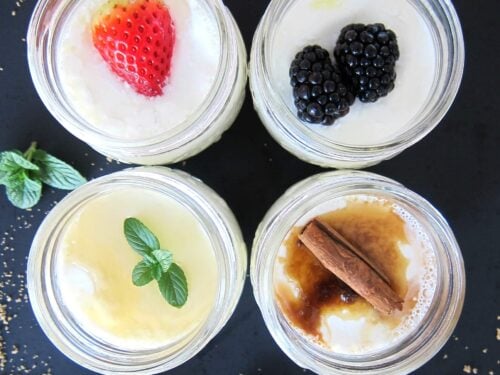 Instant pot yogurt accessories hotsell