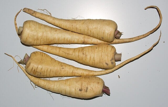 five parsnips on white background