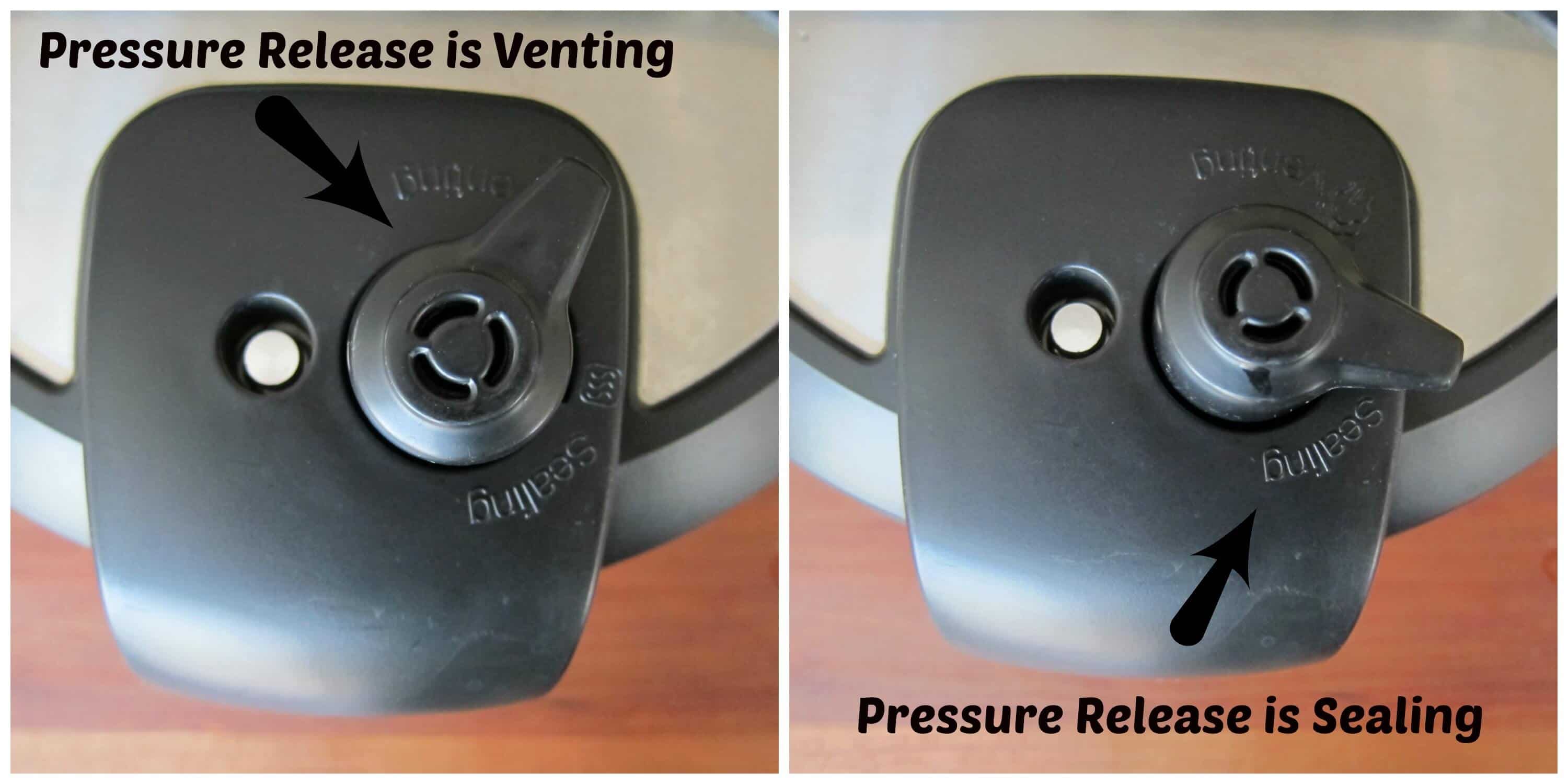 Pressure Release Handel in Venting and Sealing positions