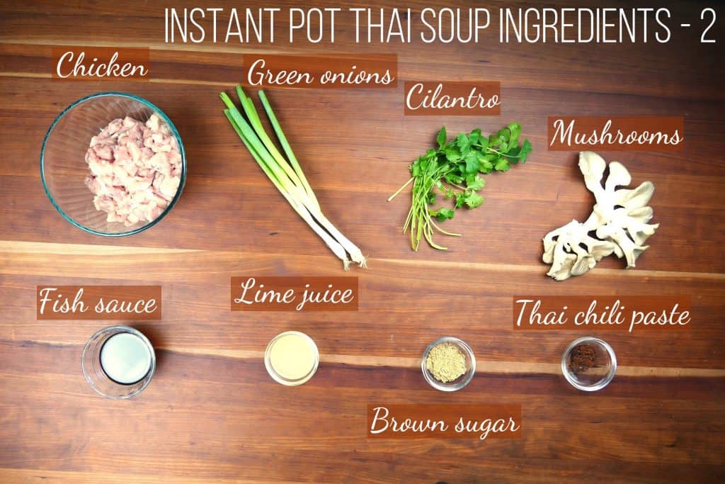 Instant Pot Thai Coconut Soup - Tom Kha Gai Ingredients collage - chicken, green onions, cilantro, mushrooms, fish sauce, lime juice, brown sugar, Thai chili paste - Paint the Kitchen Red