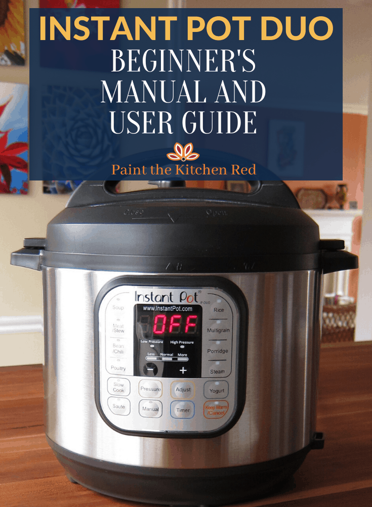 How to Use the Instant Pot Sous Vide Smart Program - Paint The Kitchen Red