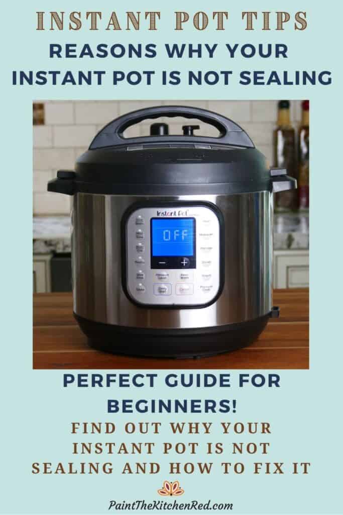 Reasons For Your Instant Pot Not Sealing - Paint The Kitchen Red