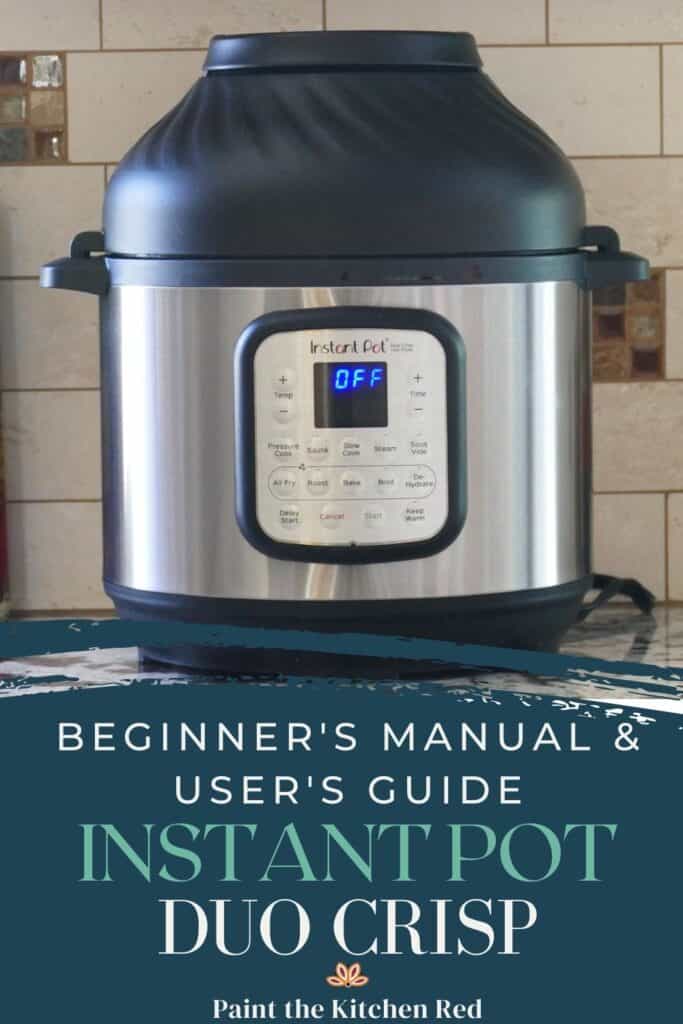 Instant Pot Duo Crisp Air Fryer Lid Review - Should You Buy It