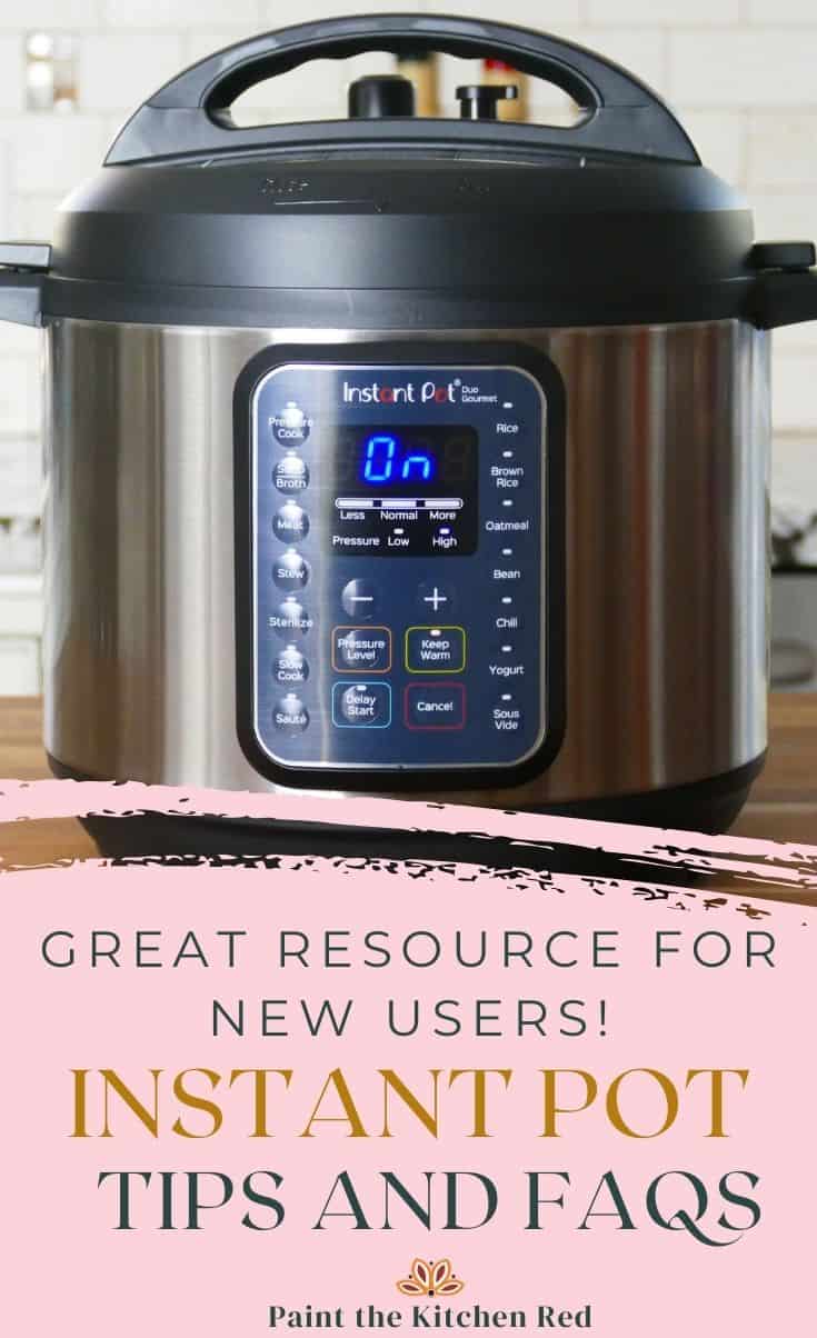 Instant Pot Tips and FAQs (Frequently Asked Questions) - Paint The Kitchen  Red