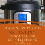 Reasons Why Instant Pot is Not Sealing or Pressurizing