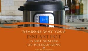 Reasons Why Instant Pot is Not Sealing or Pressurizing