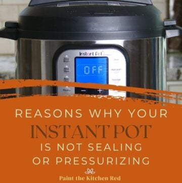 Reasons Why Instant Pot is Not Sealing or Pressurizing