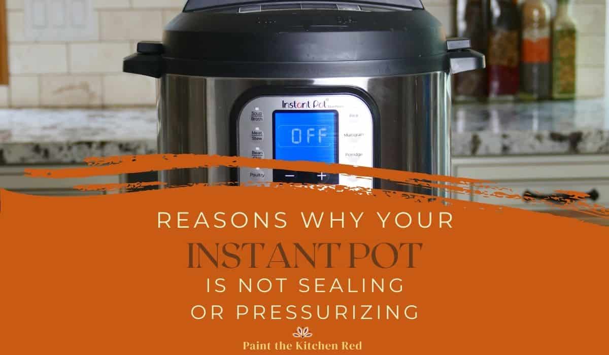 Reasons For Your Instant Pot Not Sealing - Paint The Kitchen Red