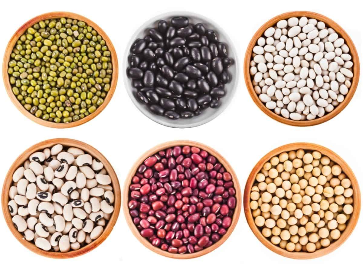 different types beans in 6 brown bowls