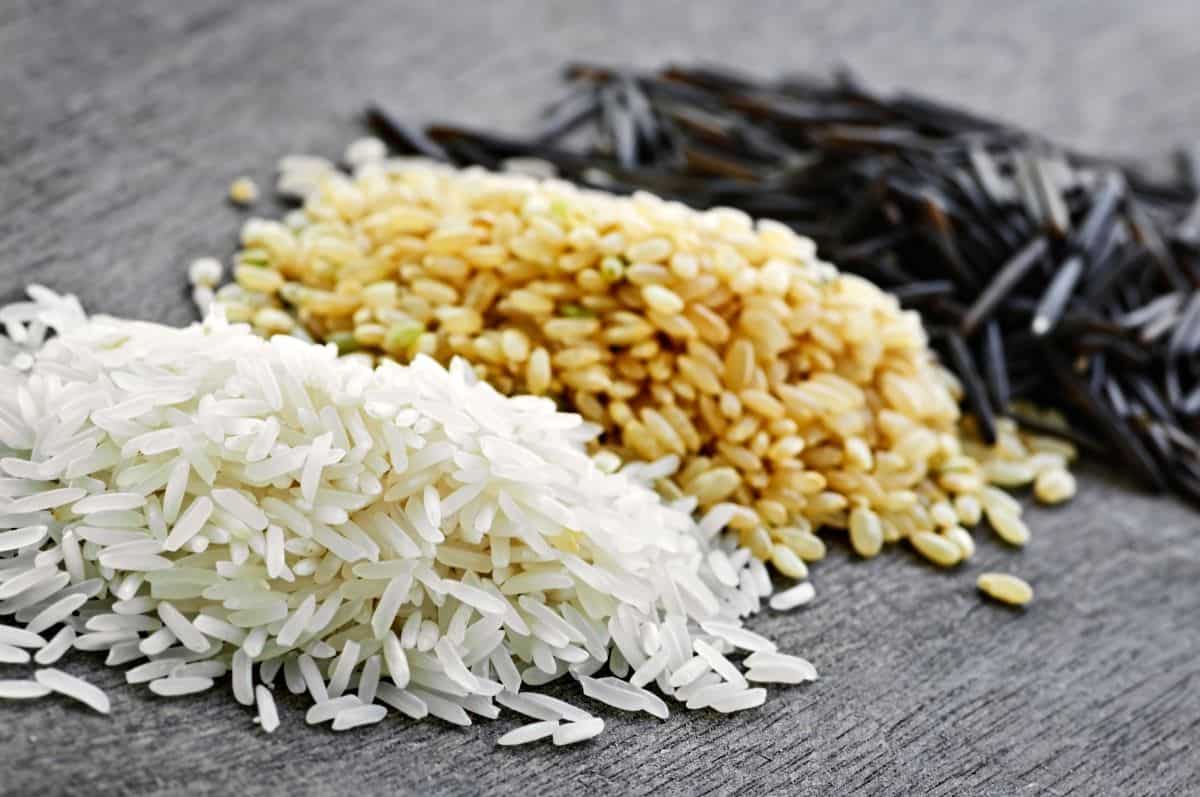 white, brown and black rice on a gray background