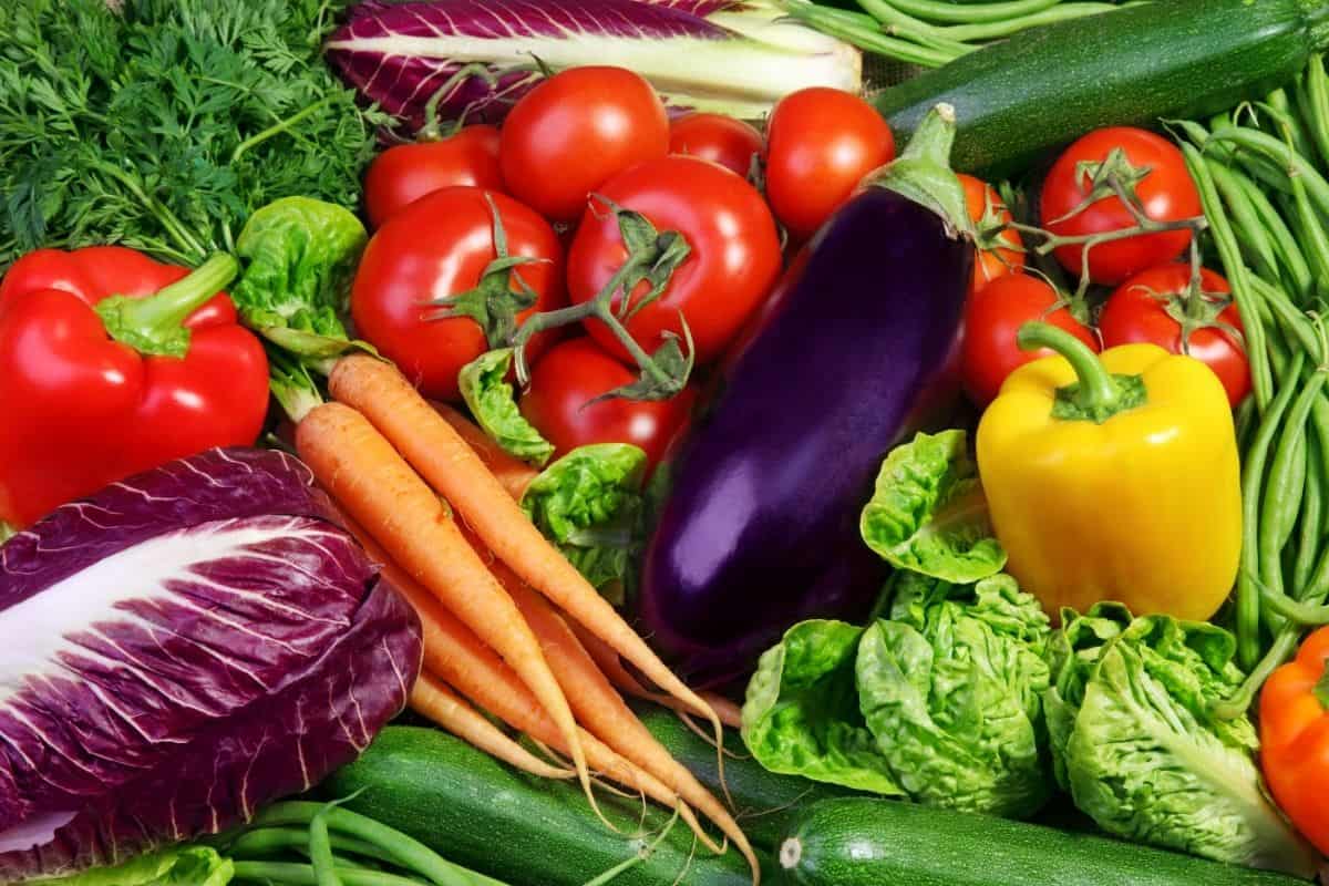 cabbage, peppers, carrots, tomatoes, eggplant, beans and other vegetables