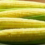 4 ears of corn sitting on husks on a white plate