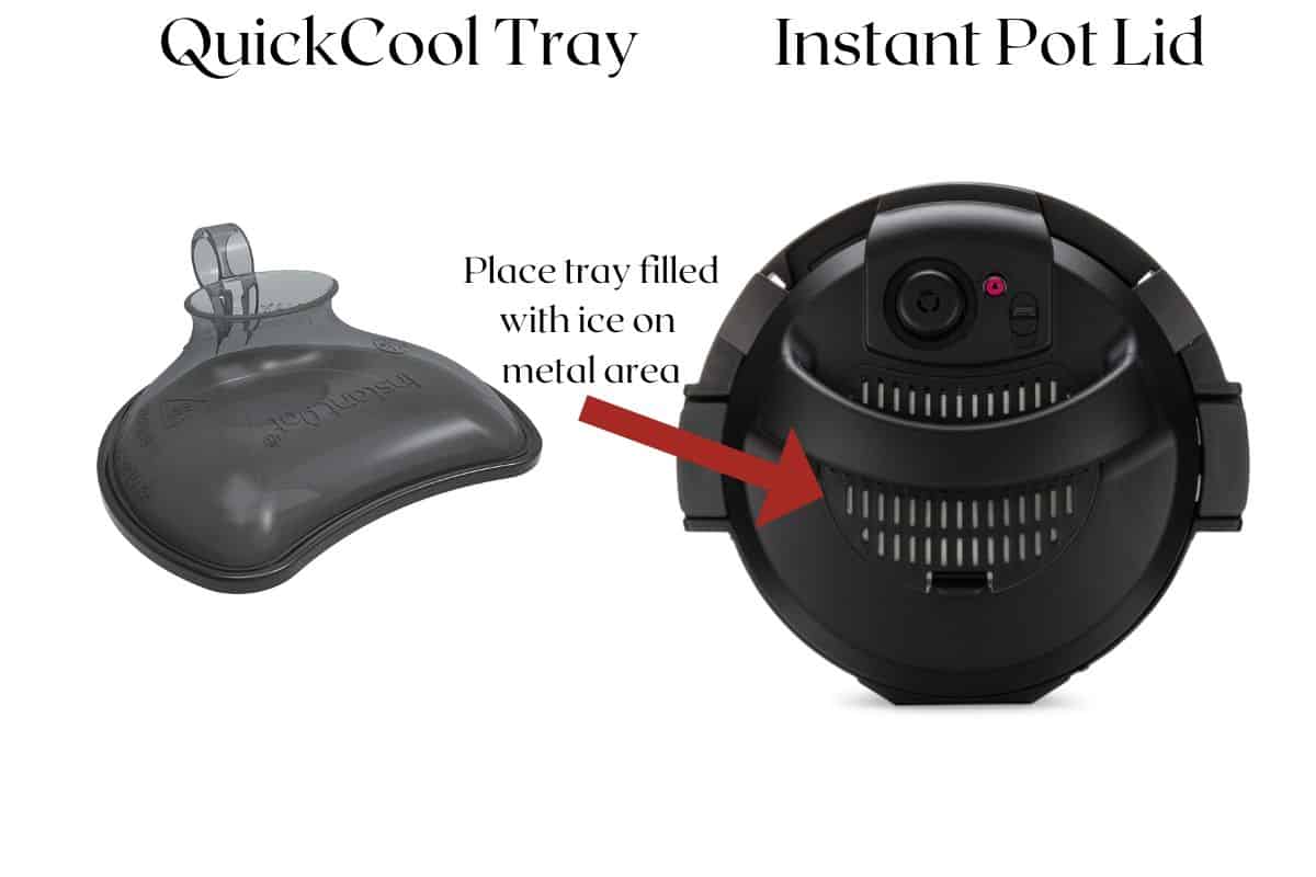 Instant Pot QuickCool Tray and Lid (place tray filled with ice on metal area)