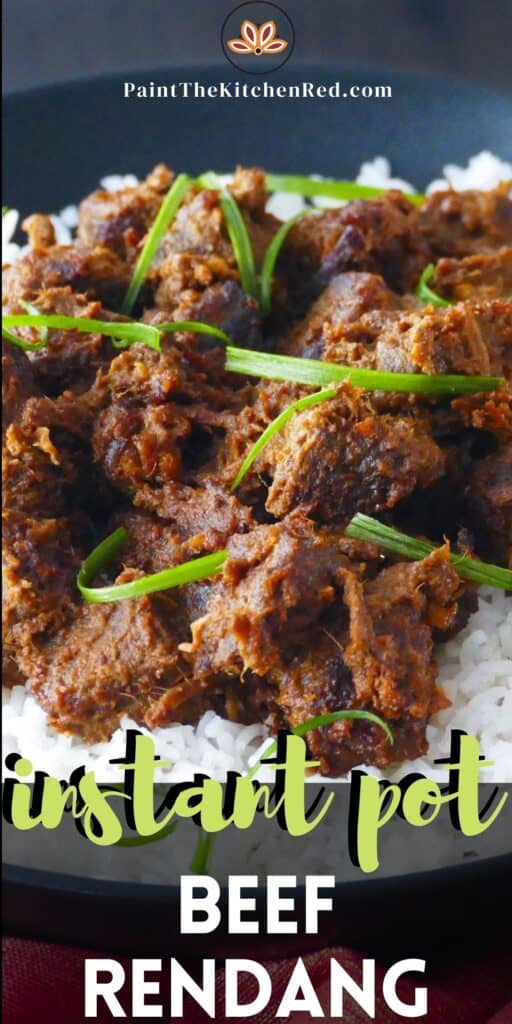 Instant Pot beef rendang on rice pin