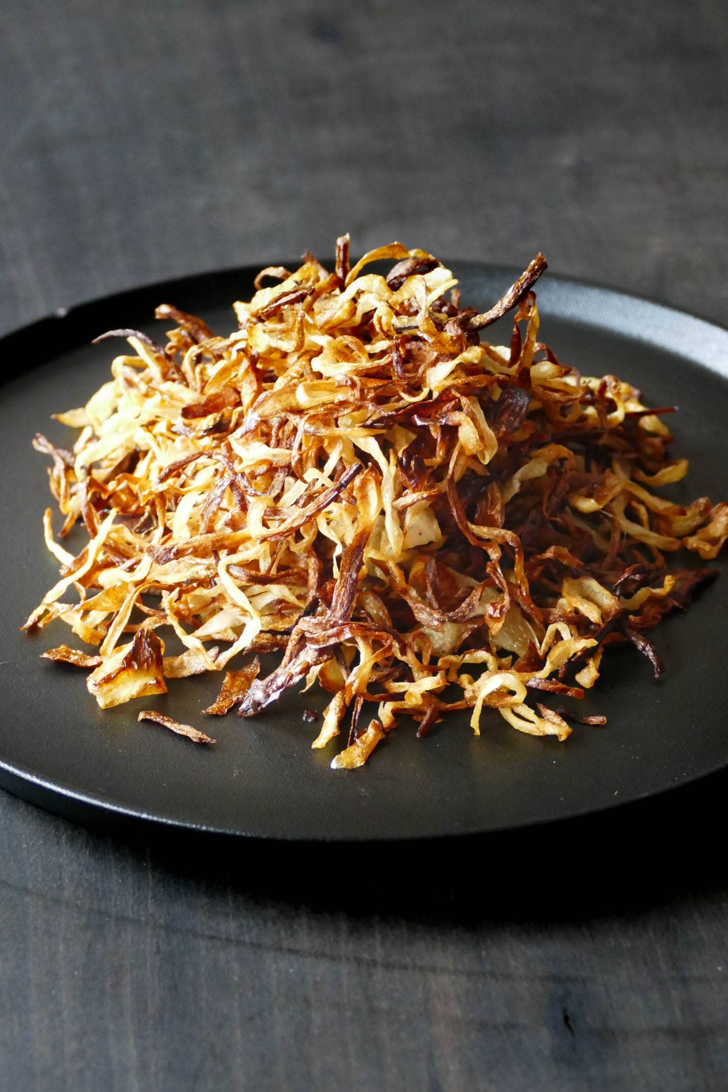 Fried onions on plate.