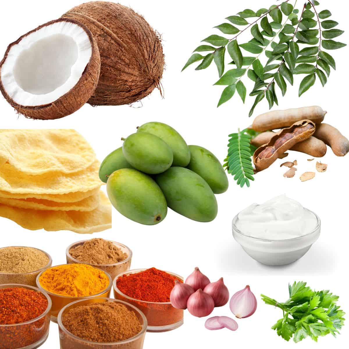 Kerala spices and ingredients.