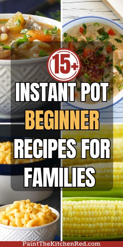 15+ Instant Pot Beginner Recipes for Families - Paint the Kitchen Red