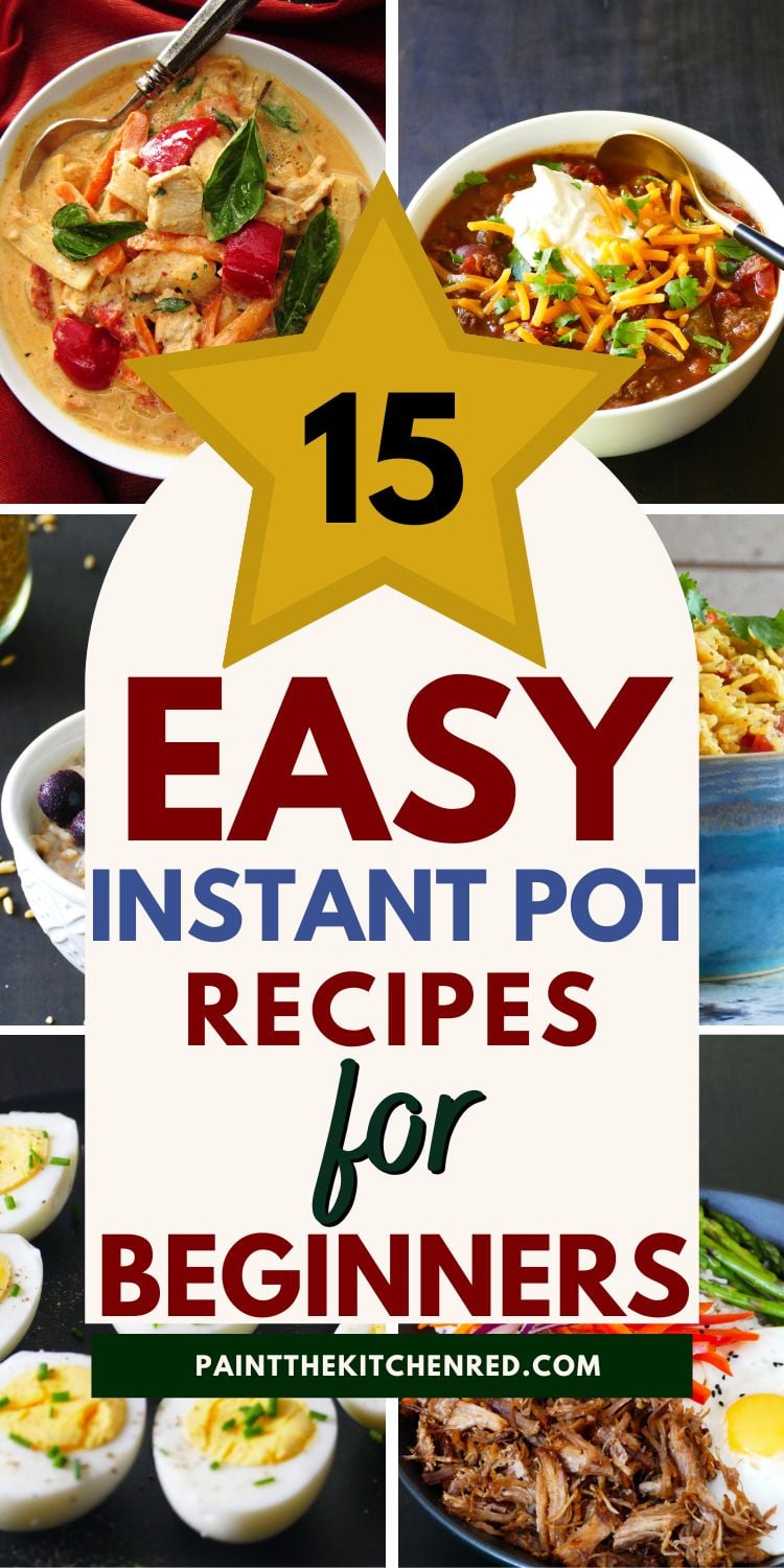 Easy Instant Pot Recipes for Beginners - Paint the Kitchen Red