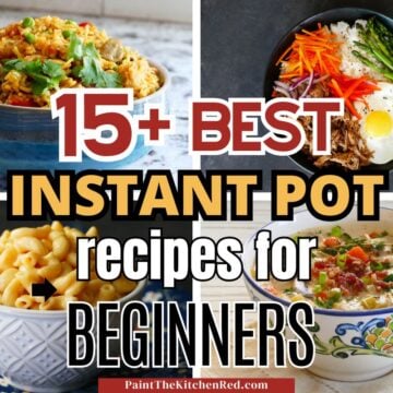 15+ best Instant Pot Recipes for Beginners - Paint the Kitchen Red
